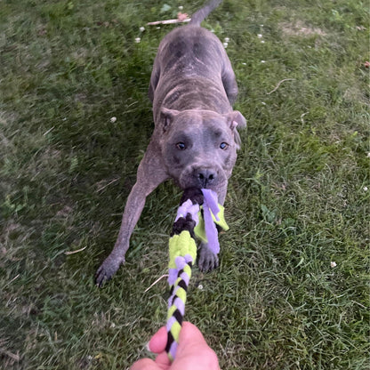Lavender Interactive Tug Toy for Dogs Mental Stimulation Toy Slow Play Treat Dispenser Brain Exercise for Puppies & Seniors Teething Relief Blue Orange Purple (Lavender)